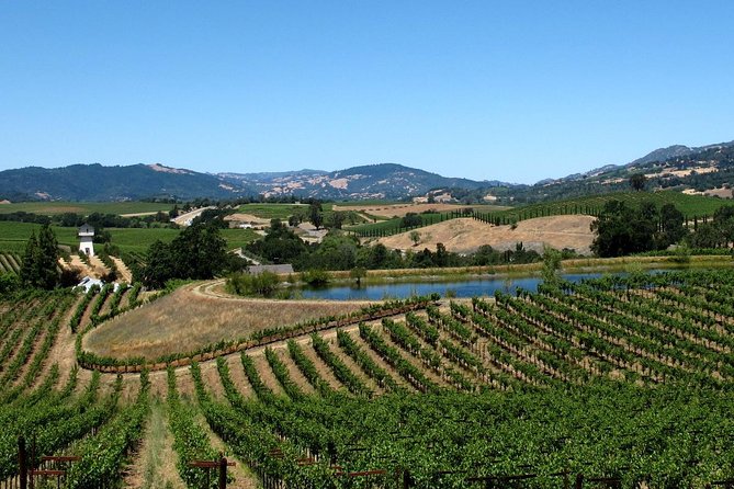 From SF : -8hr- Private Wine Tour & Custom Concierge.XL SUV - Napa Valley in three hours