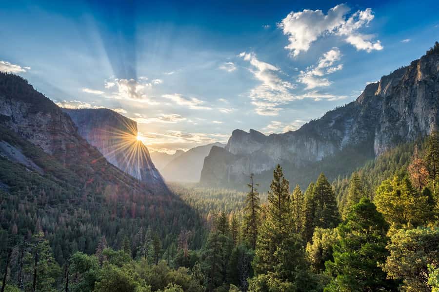 From SF: Yosemite Day Trip with Giant Sequoias Hike & Pickup - Transport, group size, and the value of $239