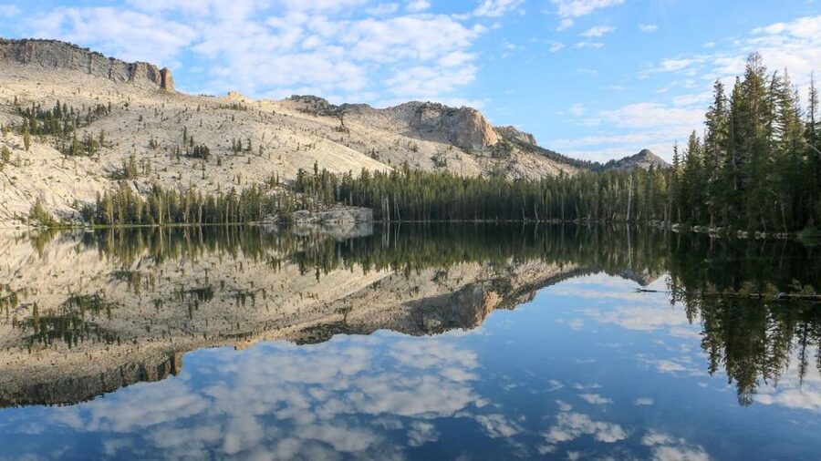 From SFO-Yosemite National Park-Enchanting Full Day Tour - The Oakdale Break After the Long Drive