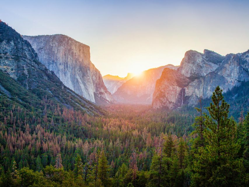 From SFO-Yosemite National Park-Enchanting Full Day Tour - Half Dome, El Capitan, and Yosemite Valley