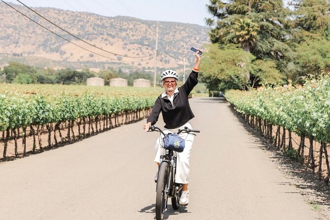 Full-Day Electric Bike Rental - Why an electric bike works so well in Napa Valley