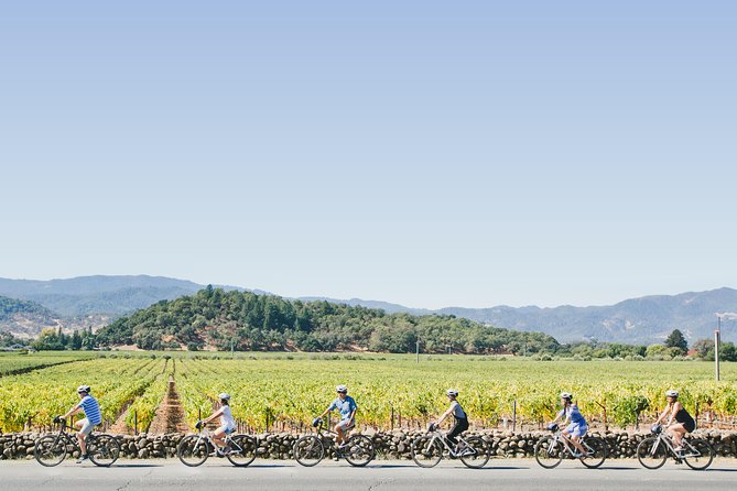 Full-Day Napa Winery E-Bike Tour (with Picnic Lunch) - A Napa morning that starts in Yountville