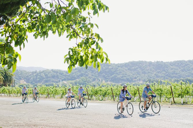 Full-Day Napa Winery E-Bike Tour (with Picnic Lunch) - Who should book this Napa e-bike tour?