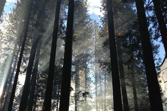 Full-Day San Francisco Tour with a Local, Custom + Private - A San Francisco day without the usual fixed route