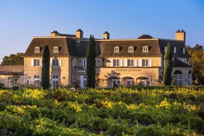 Giant Redwoods Tour Including a 5-Course Winery Lunch