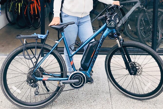 Golden Gate Park Bike Rentals - Continuing west to Ocean Beach