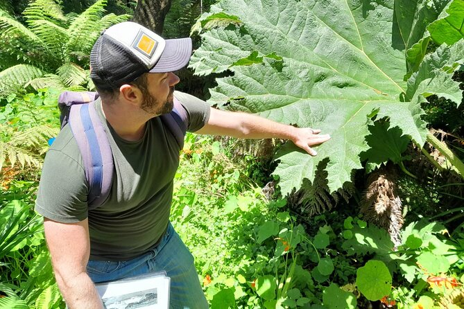 Golden Gate Park's Hidden Gems, Highlights and History - What the guide adds to a familiar park