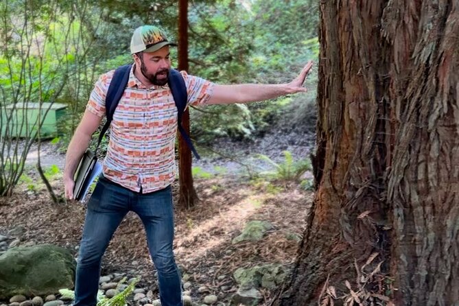 Golden Gate Park's Hidden Gems, Highlights and History - Value at $25, and what the 90 minutes really delivers