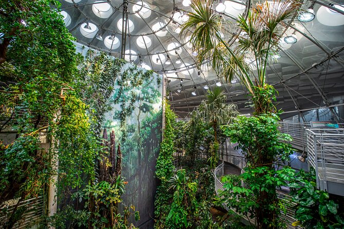 Golden Gate Park Tour With California Academy of Sciences Ticket - Why this Golden Gate Park pairing works
