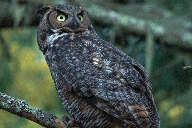 Golden Gate Park Twilight Wildlife Walking Tour - Who will enjoy this walk most