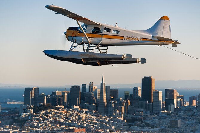 Greater Bay Area Seaplane Tour - Muir Woods from above