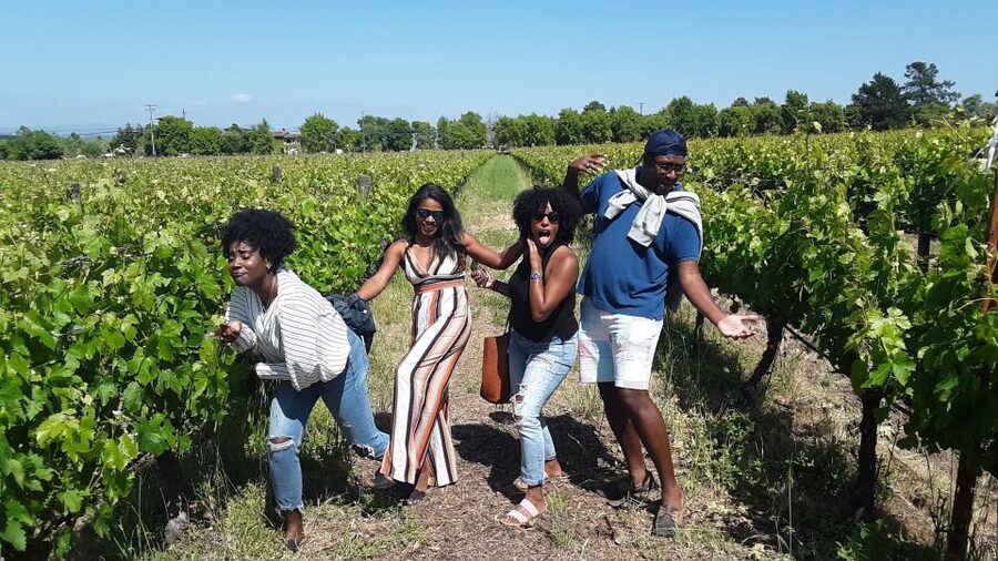 Guided Private Wine Tour to Napa and Sonoma Wine Country - Is $1,095 good value?