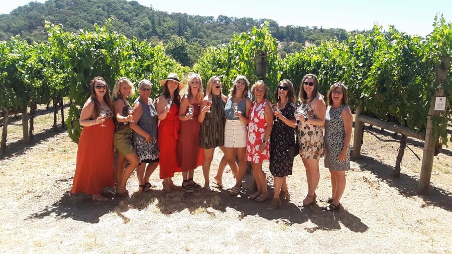 Guided Private Wine Tour to Napa and Sonoma Wine Country - What the guides add to the day