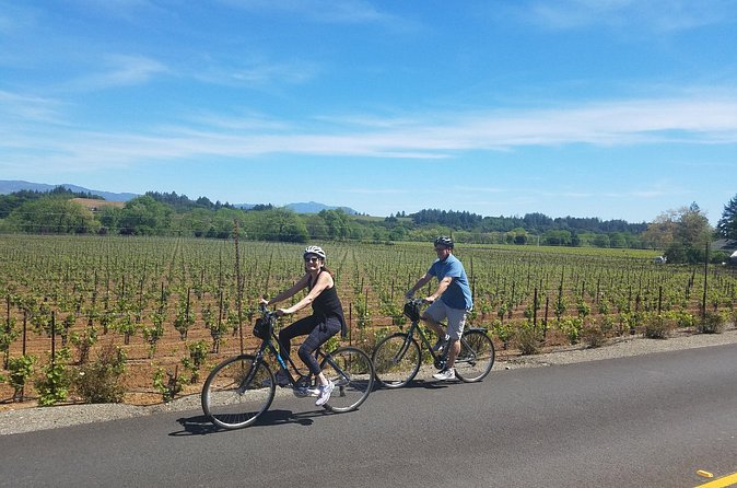 Half Day Bike Tour - Figone Olive Oil Company Adds a Savory Pause