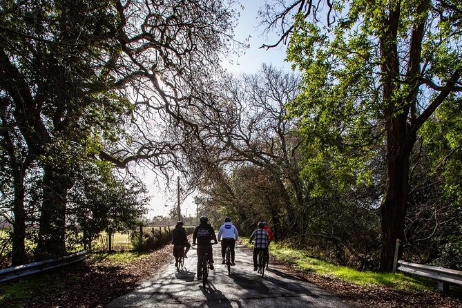 Half Day Bike Tour - Three Wineries Means Wine Comes First