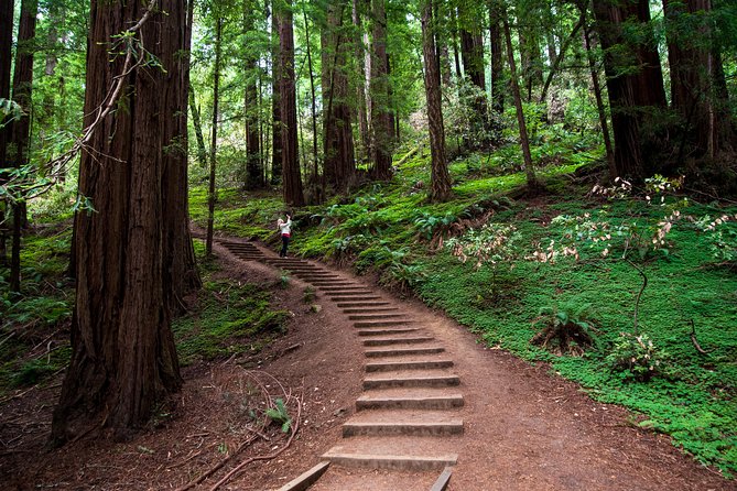 Half-Day Muir Woods & Sausalito Tour with Entry Ticket Included - Key points to know before booking