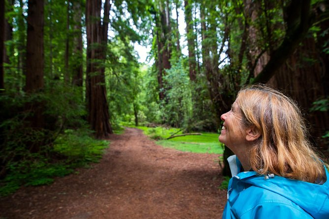 Half-Day Muir Woods & Sausalito Tour with Entry Ticket Included - Sausalito for bay views, food, and a possible ferry ride
