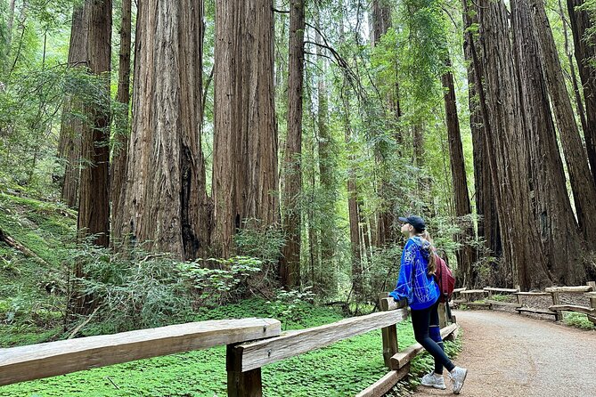 Half-Day Muir Woods & Sausalito Tour with Entry Ticket Included - Golden Gate Bridge views at North Vista Point