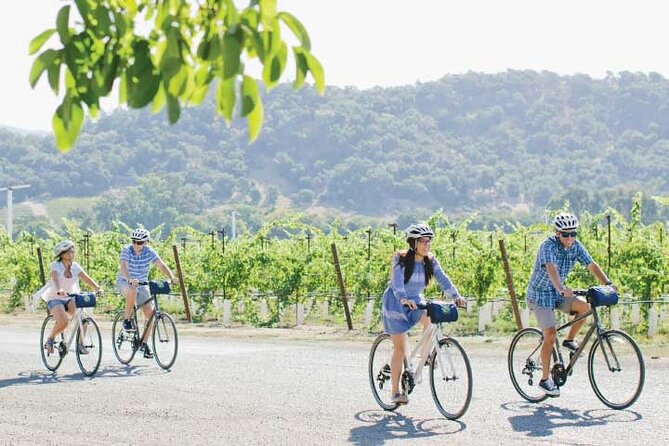 Half-Day Napa Winery E-Bike Tour - The winery stop: Monticello and possible substitutes
