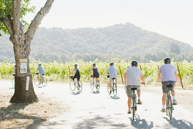 Half-Day Napa Winery E-Bike Tour - What you learn beyond the wine glass
