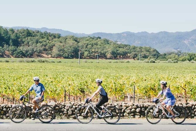Half-Day Napa Winery E-Bike Tour - Who will enjoy this Napa bike tour