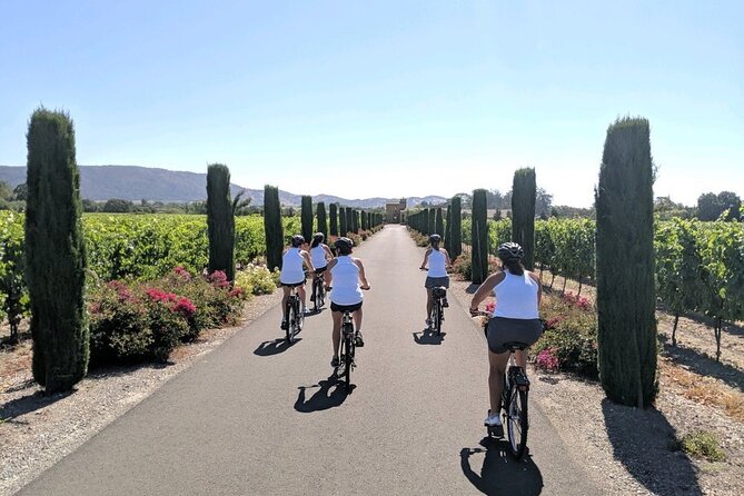 Half Day Tour - Figone Olive Oil Company adds a welcome change