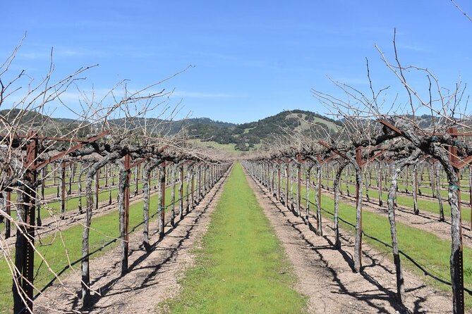 Half Day Tour - Starting at Sonoma Adventures on Broadway