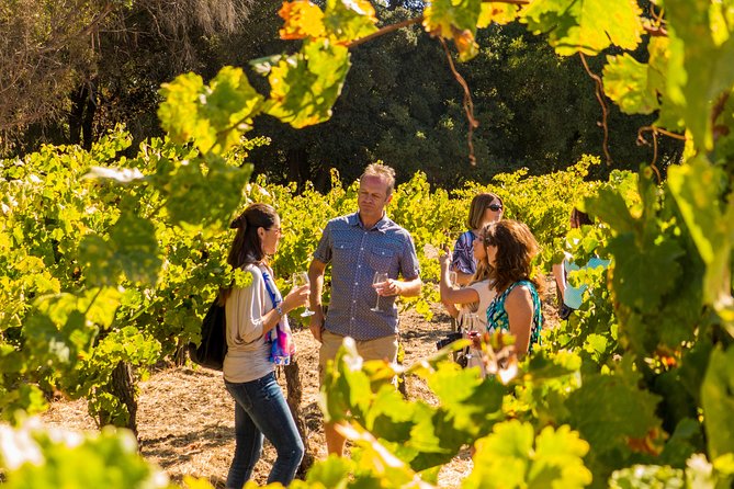 Half-Day Wine Country Tour from San Francisco - Crossing the Golden Gate Bridge at midday