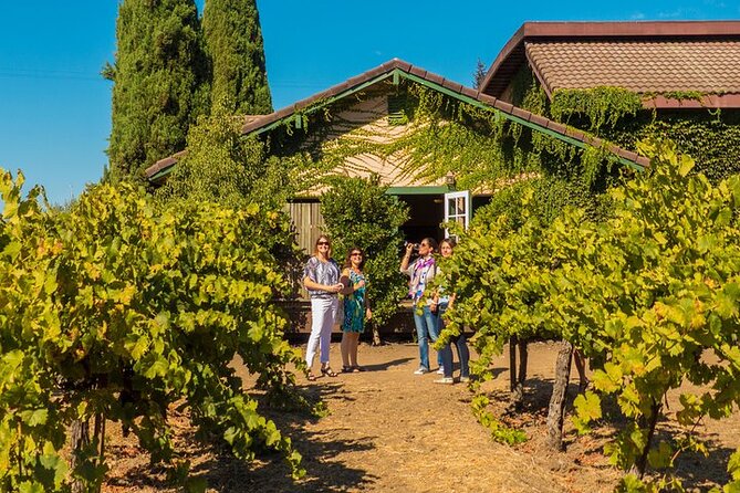 Half-Day Wine Tour Plus Hop-On Hop-Off Bus Pass - Two wineries and the shape of the tasting experience
