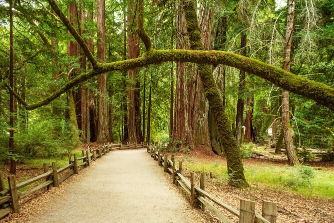 Highway 1 Pacific Coast Highway Self-Guided Driving Tour Bundle - Monterey and Carmel: allow time beyond the audio