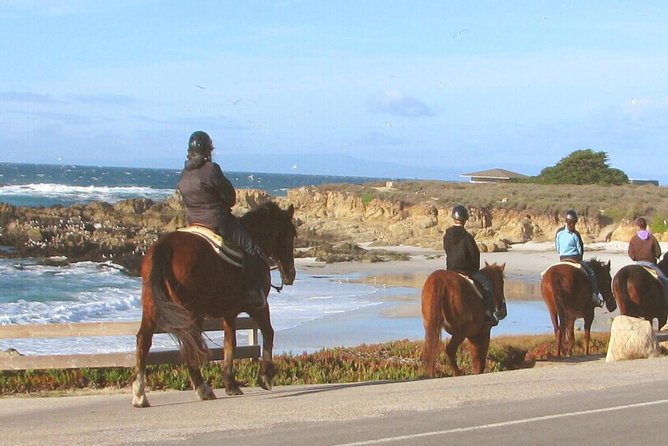 Horseback Ride & Alcatraz Prison Tickets - The real price: $925 per person