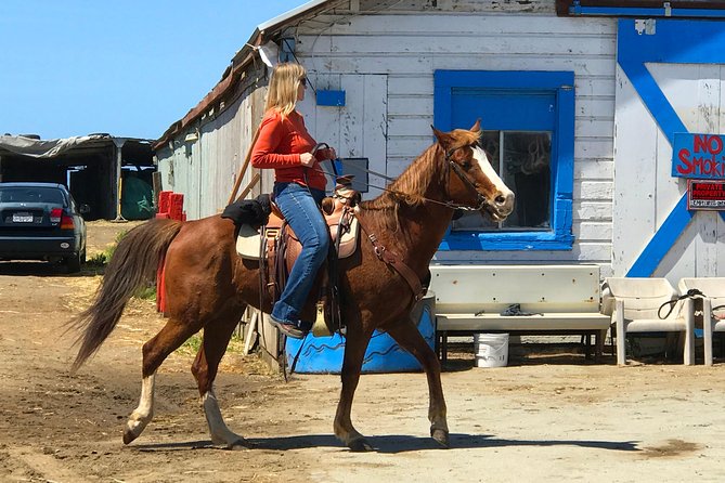 Horseback Ride & Alcatraz Prison Tickets - Who will get the most from this tour