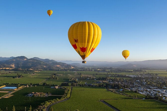 Hot Air Balloon Rides in Napa Valley - The Flight: Quiet Views Over Wine Country