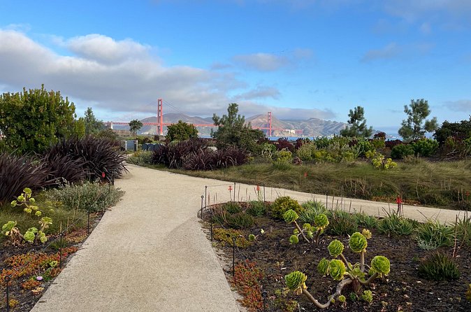 Iconic San Francisco Urban Hiking Tour - The Yoda fountain and Tunnel Tops Park
