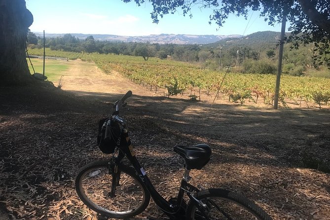 Independent Hassle-free Bike Rental in Sonoma - Why the equipment matters on a self-guided ride