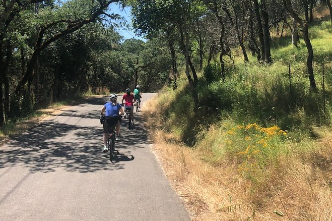 Independent Hassle-free Bike Rental in Sonoma - The route briefing is the heart of the experience