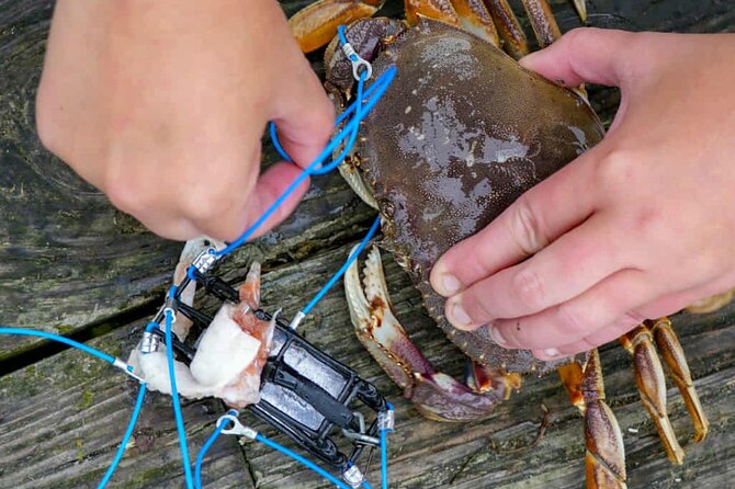 Learn to Catch and Cook Crab under Golden Gate Bridge SF - What the $150 price includes in practical terms