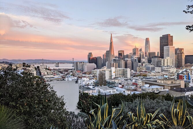 Local Flavors: An Insider's Tour of San Francisco's Hidden Gems - Italian-American streets and Chinatown’s layered story
