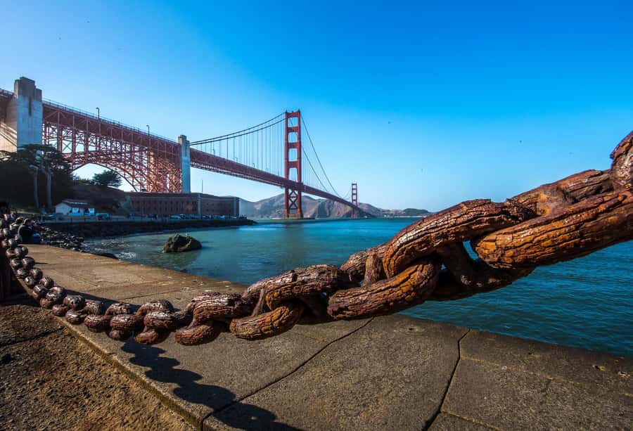 Lombard Leap: Lombard Street, Coit Tower and Chinatown Tour - Why Lombard Street works better from the seat