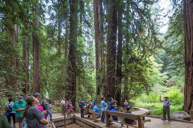 Mix & Save: Muir Woods and Sausalito + Escape From the Rock Cruise - Muir Woods and 90 minutes among the redwoods