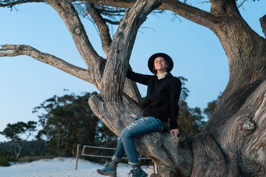Monterey, Carmel, 17 Mile Dr, Big Sur & Mcway Falls Pvt Tour - Key points to know before booking