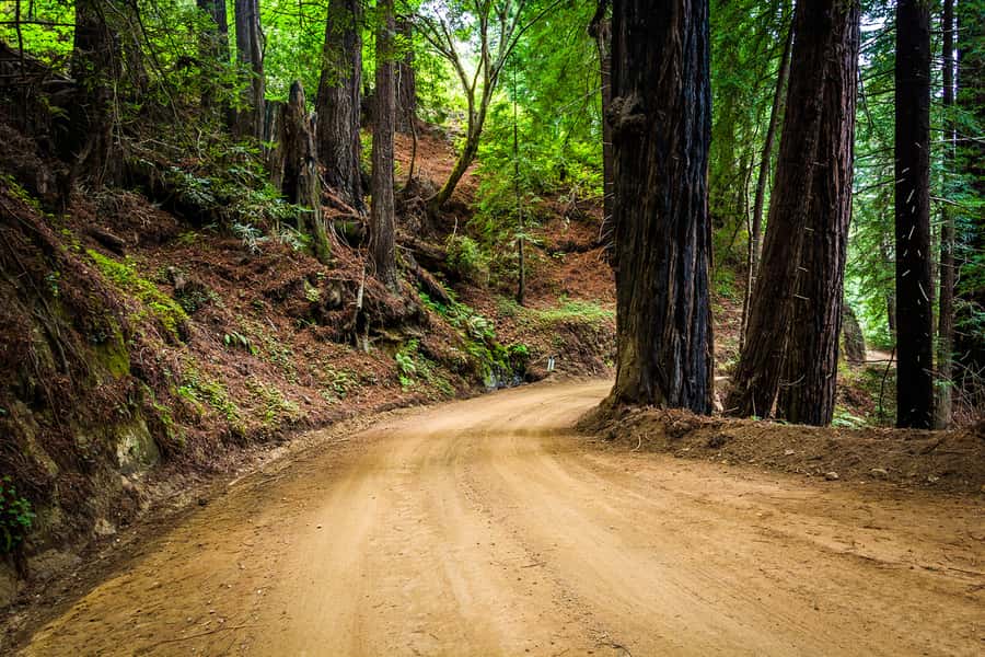 Monterey, Carmel, 17 Mile Dr, Big Sur & Mcway Falls Pvt Tour - Pebble Beach and the famous 17-Mile Drive