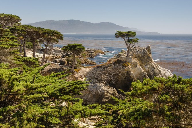 Monterey, Carmel and 17-Mile Drive: Full Day Tour from SF - Two hours around Monterey’s Cannery Row