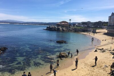 Monterey, Carmel and 17-Mile Drive: Full Day Tour from SF