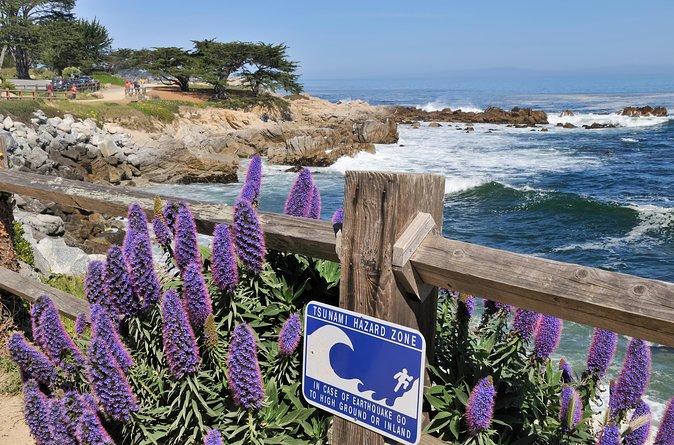 Monterey, Carmel and 17-Mile Drive: Full Day Tour from SF - 17-Mile Drive brings the postcard scenery
