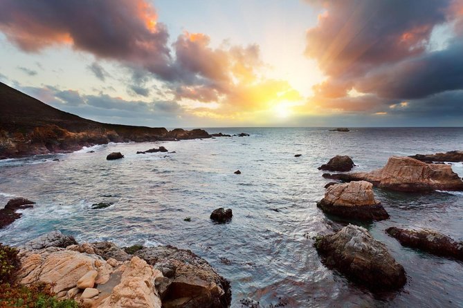 Monterey, Carmel and 17-Mile Drive: Full Day Tour from SF - Bird Rock: quick wildlife viewing