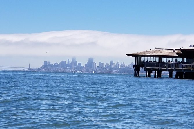 Muir Woods and Sausalito Afternoon Tour Small-Group Half-Day - Guide quality and group atmosphere