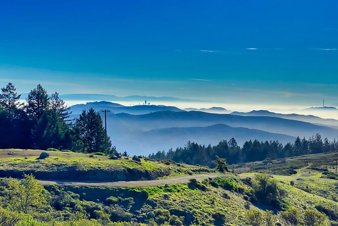 Muir Woods and Sausalito Half Day Tour - Is $95 a fair price?