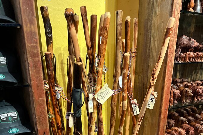 Muir Woods and Sausalito Private Tour - Who will get the most from this tour