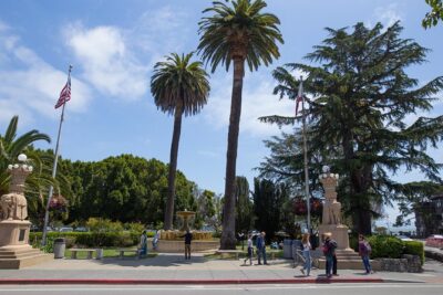 Muir Woods and Sausalito (Return by Bus or Ferry)